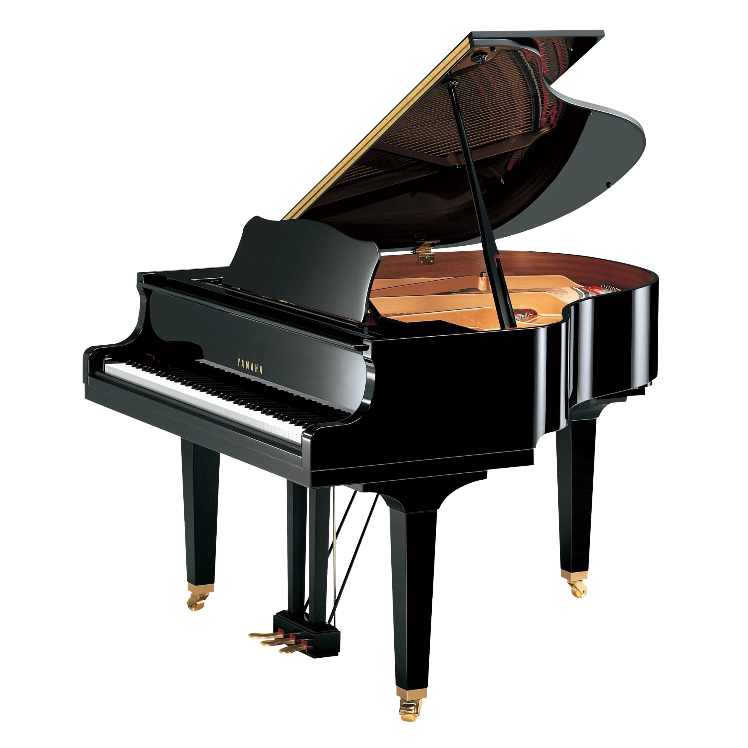 GB1K PE-web-compressed