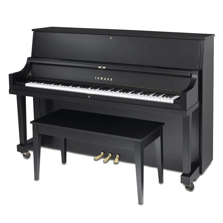 P22 Satin Ebony Resized