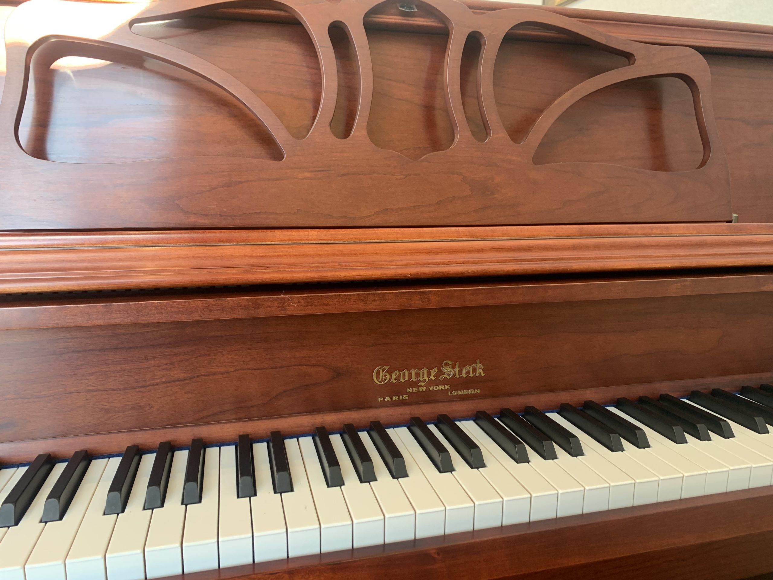 George Steck CS-16F Piano Keys View George Steck CS-16F Piano Keys View
