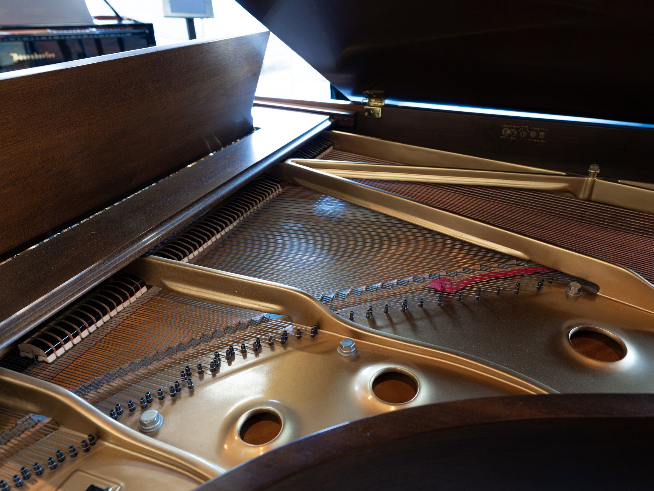 Solich Piano Detroit - Baldwin L Walnut - Rear View Soundboard