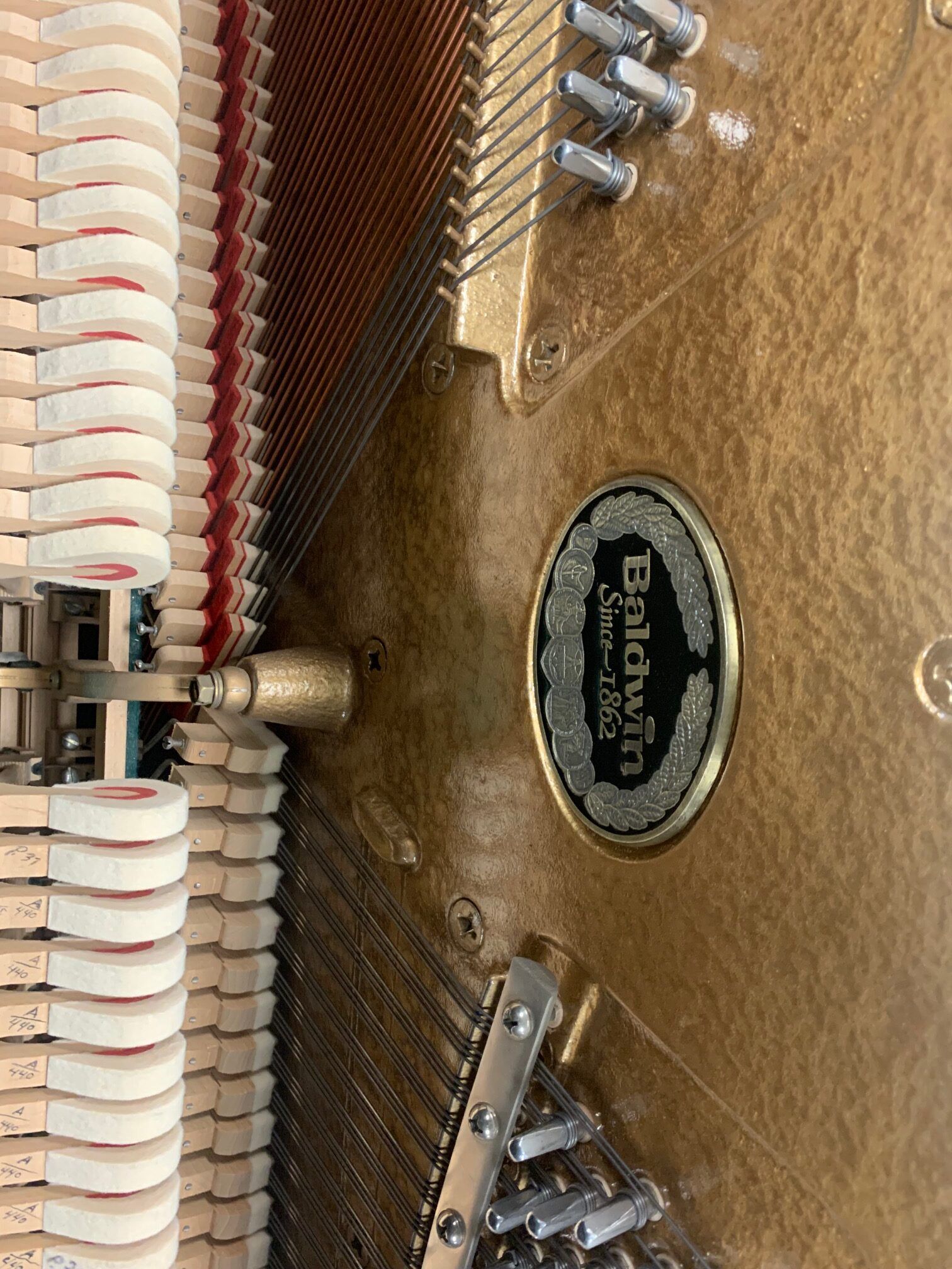 Solich-Piano-Cleveland-Baldwin-Upright-Model-6000-strings