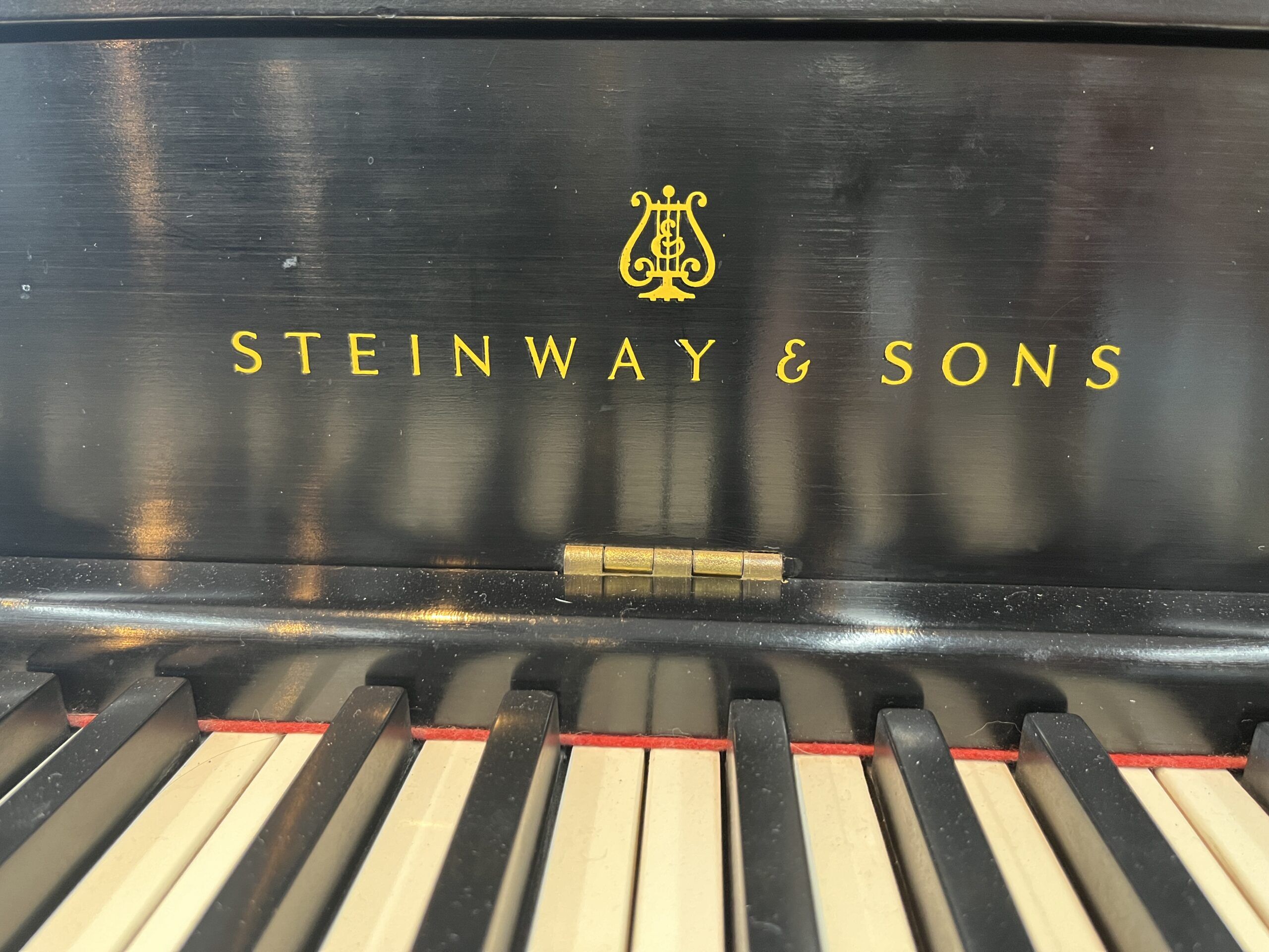 Steinway-Model-F-matte-black-434685-logo-view