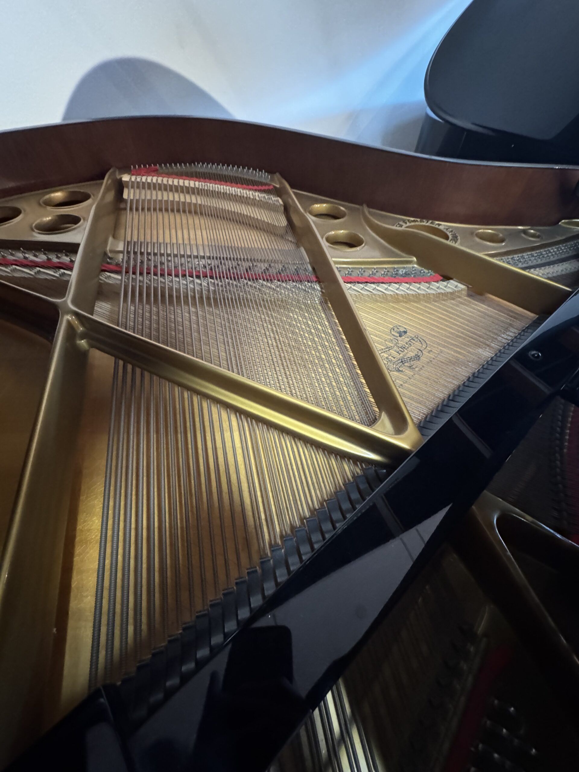 August-Forester-Model-170-162445-String-View-