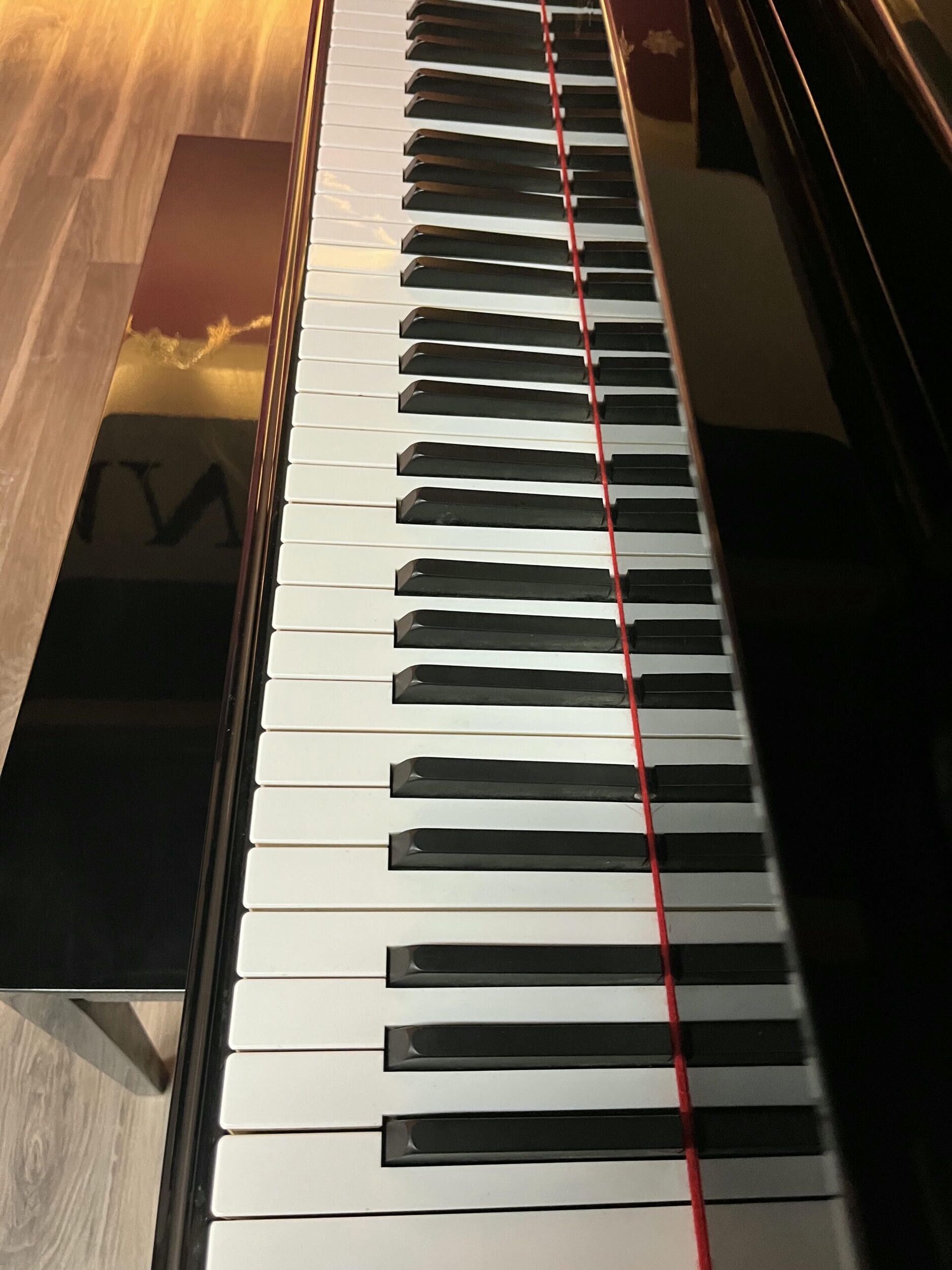 Weber-WG50EP-G101518-keyboard-view