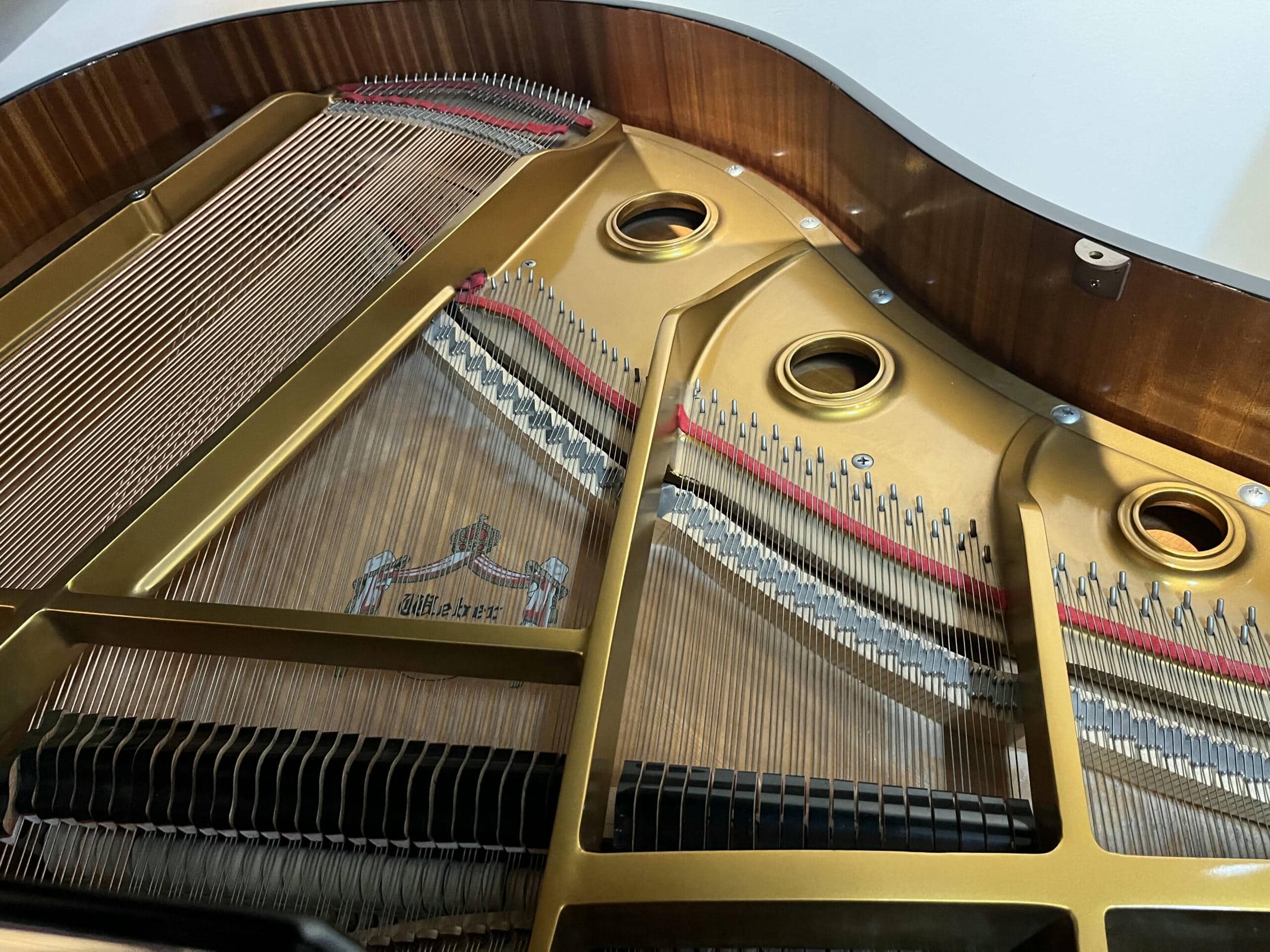 Weber-WG50EP-G101518-strings-view