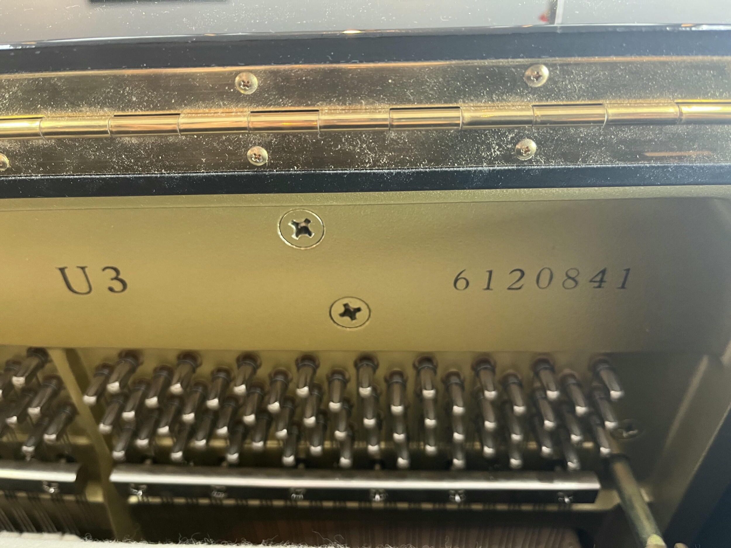 Yamaha-U3PE-6120841-serial-number-view