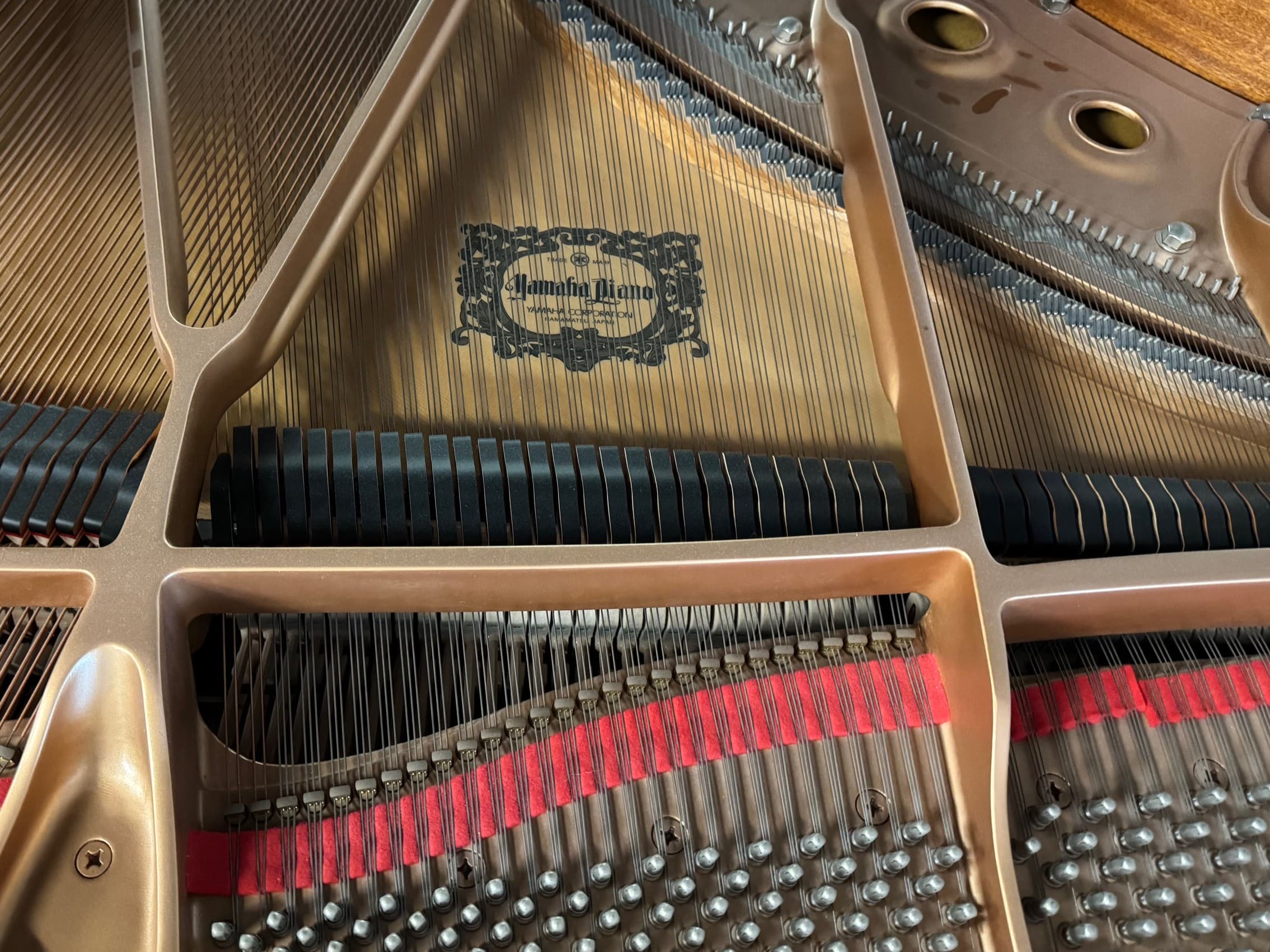 Solich-Piano-Cleveland-Yamaha-C2PE-Strings