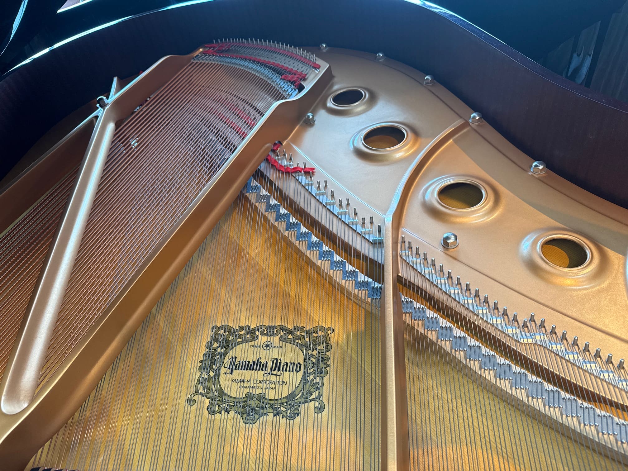 Solich-Piano-Detroit-Yamaha-C1PM-Strings