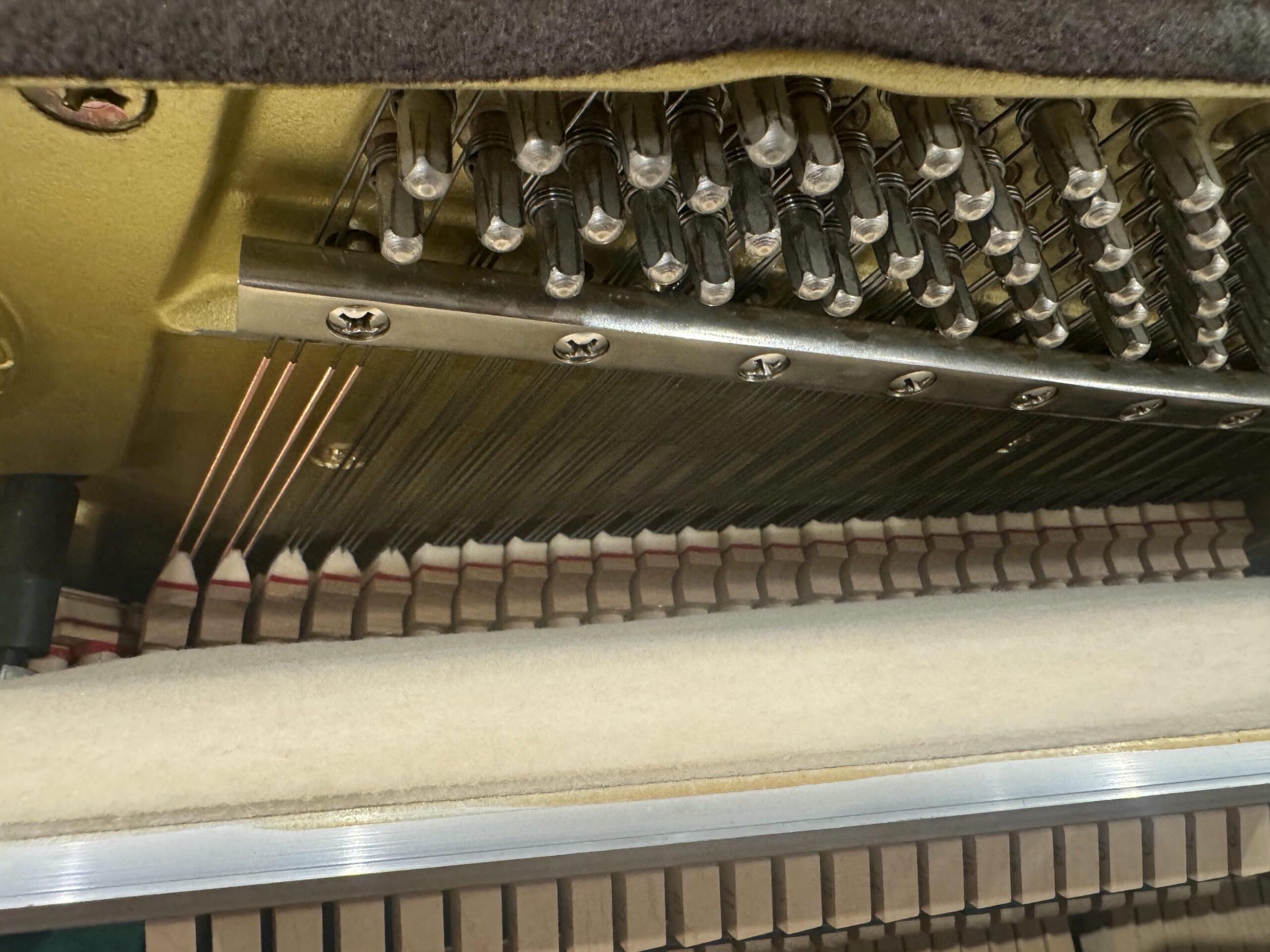 Solich-Piano-Columbus-Yamaha-M500s-Dampers