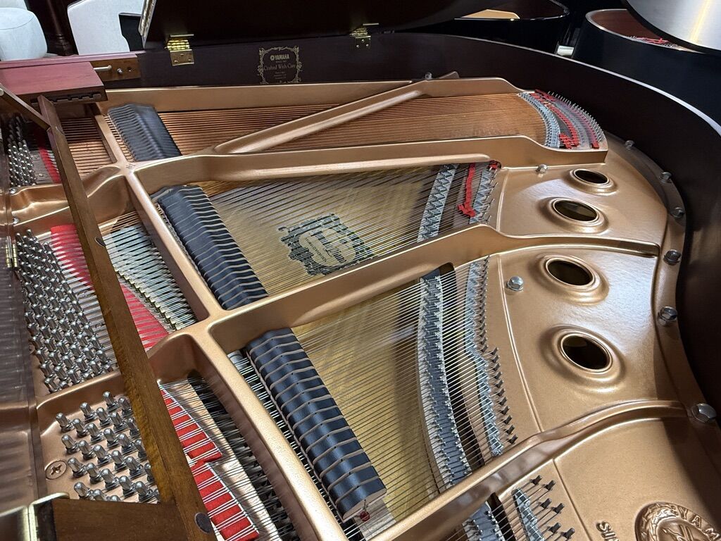 Yamaha-GC1FP-316277-strings