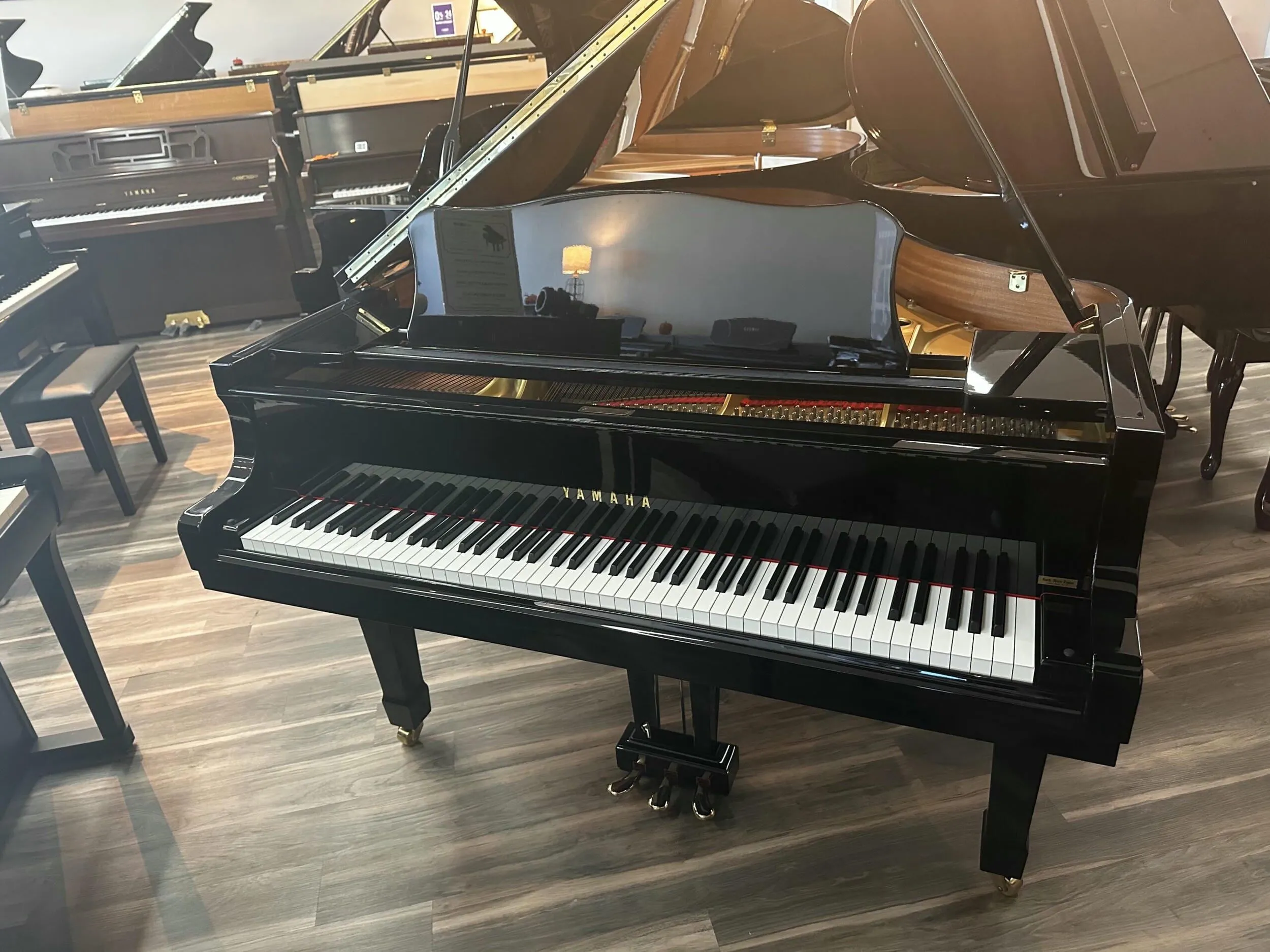 Yamaha-G2-F5343340-1