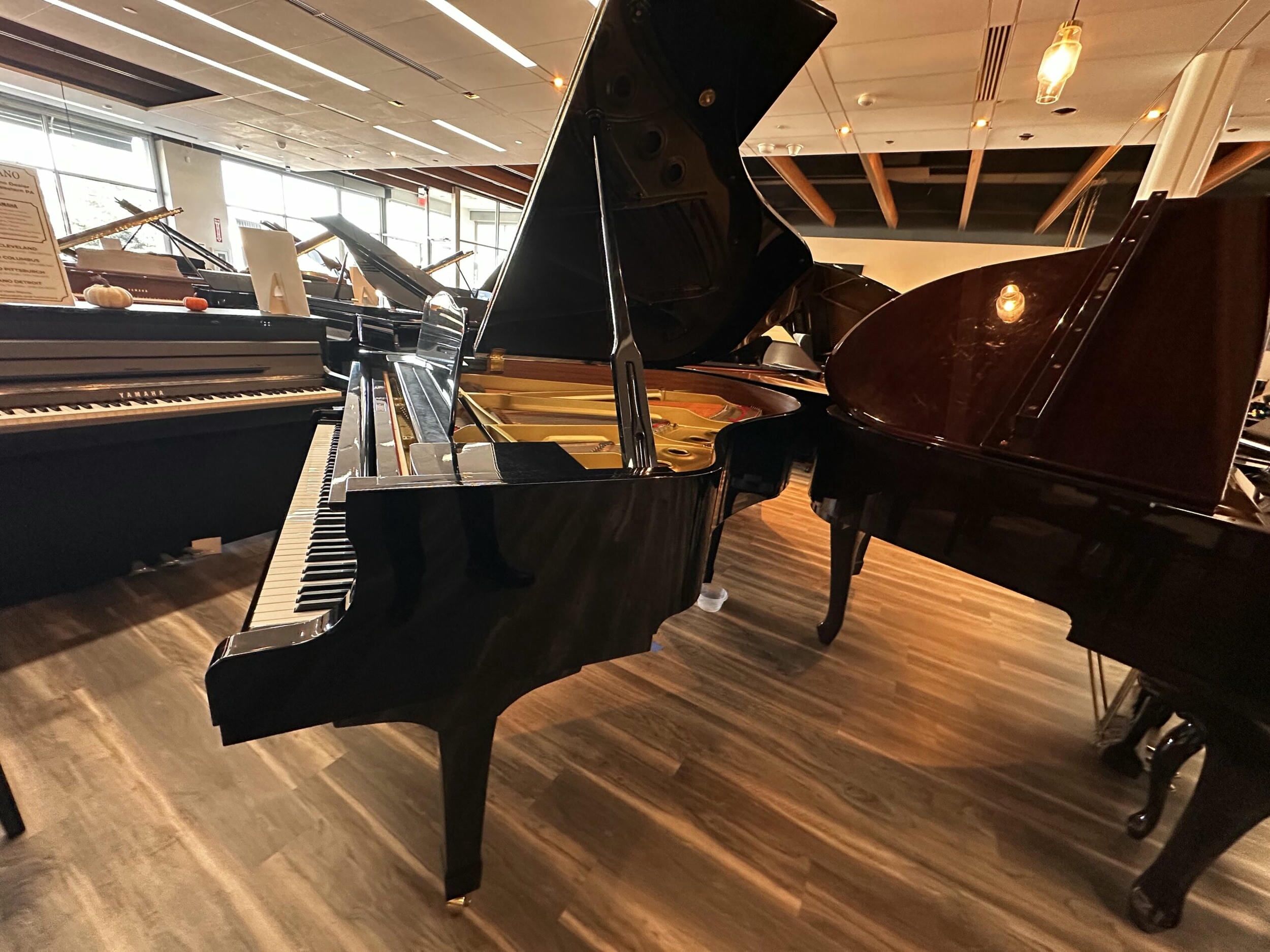 Yamaha-G2-F5343340-4