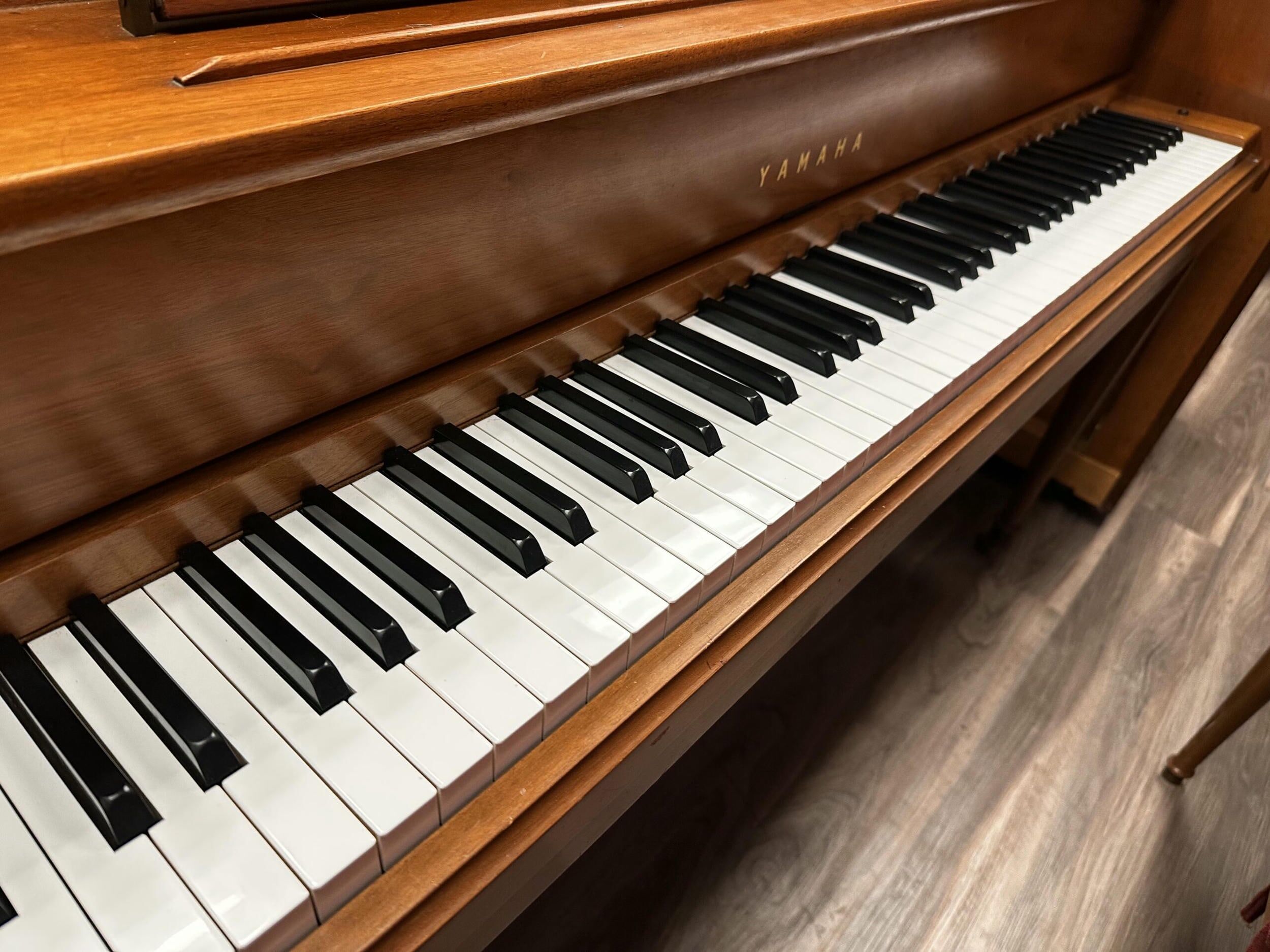 Photo-Dec-15-2025-5-23-56-PM