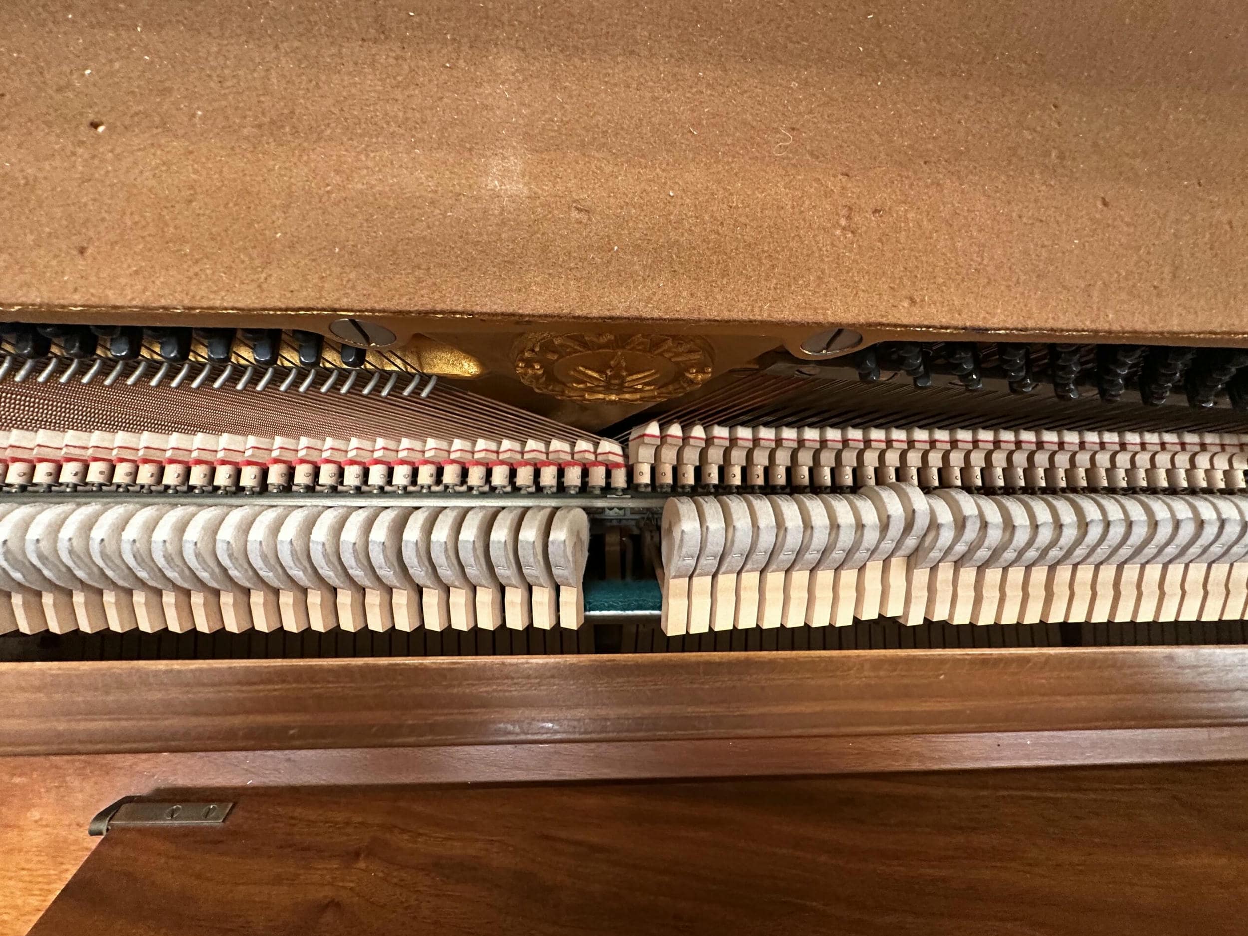 Photo-Dec-15-2025-5-24-23-PM