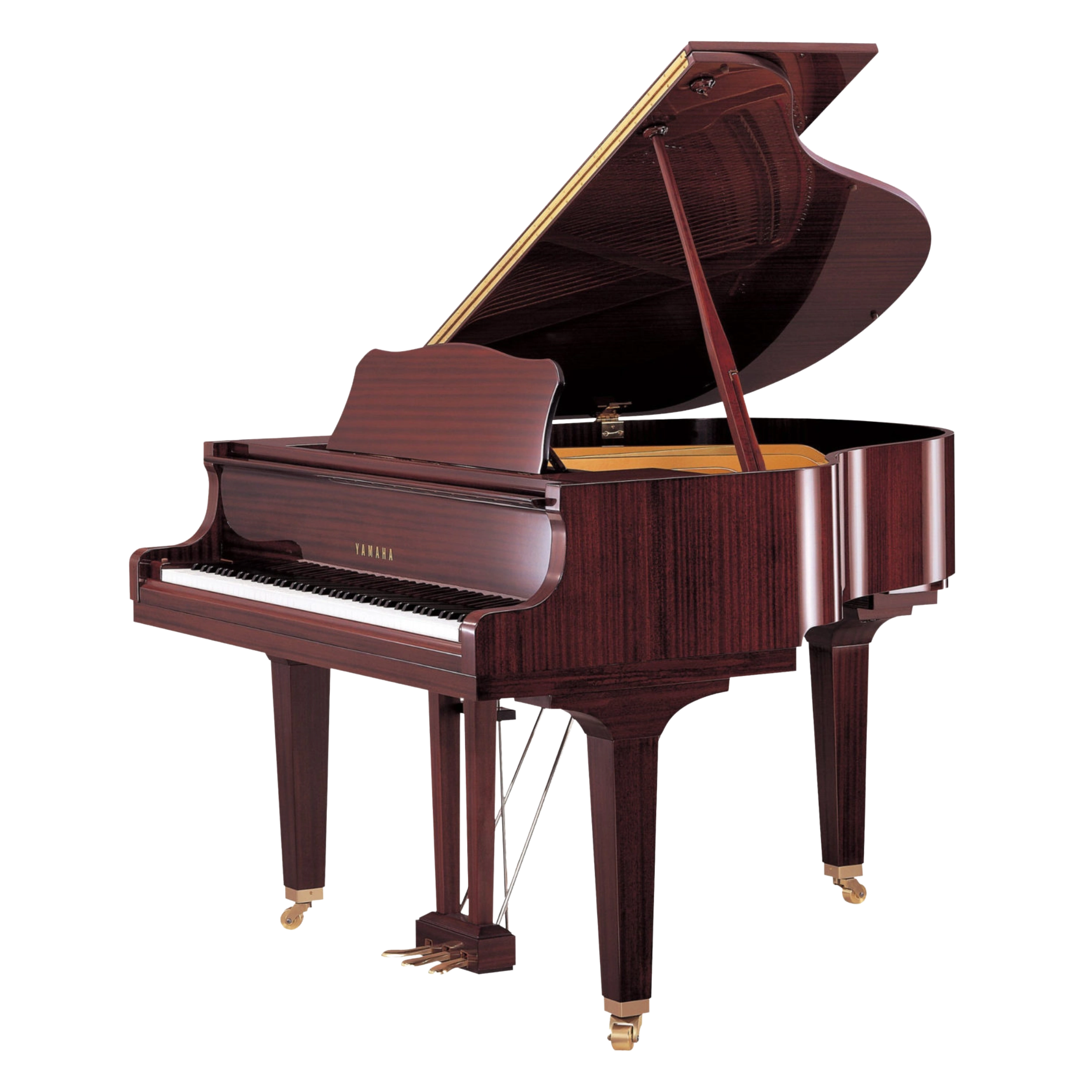 GB1K PM-web-compressed