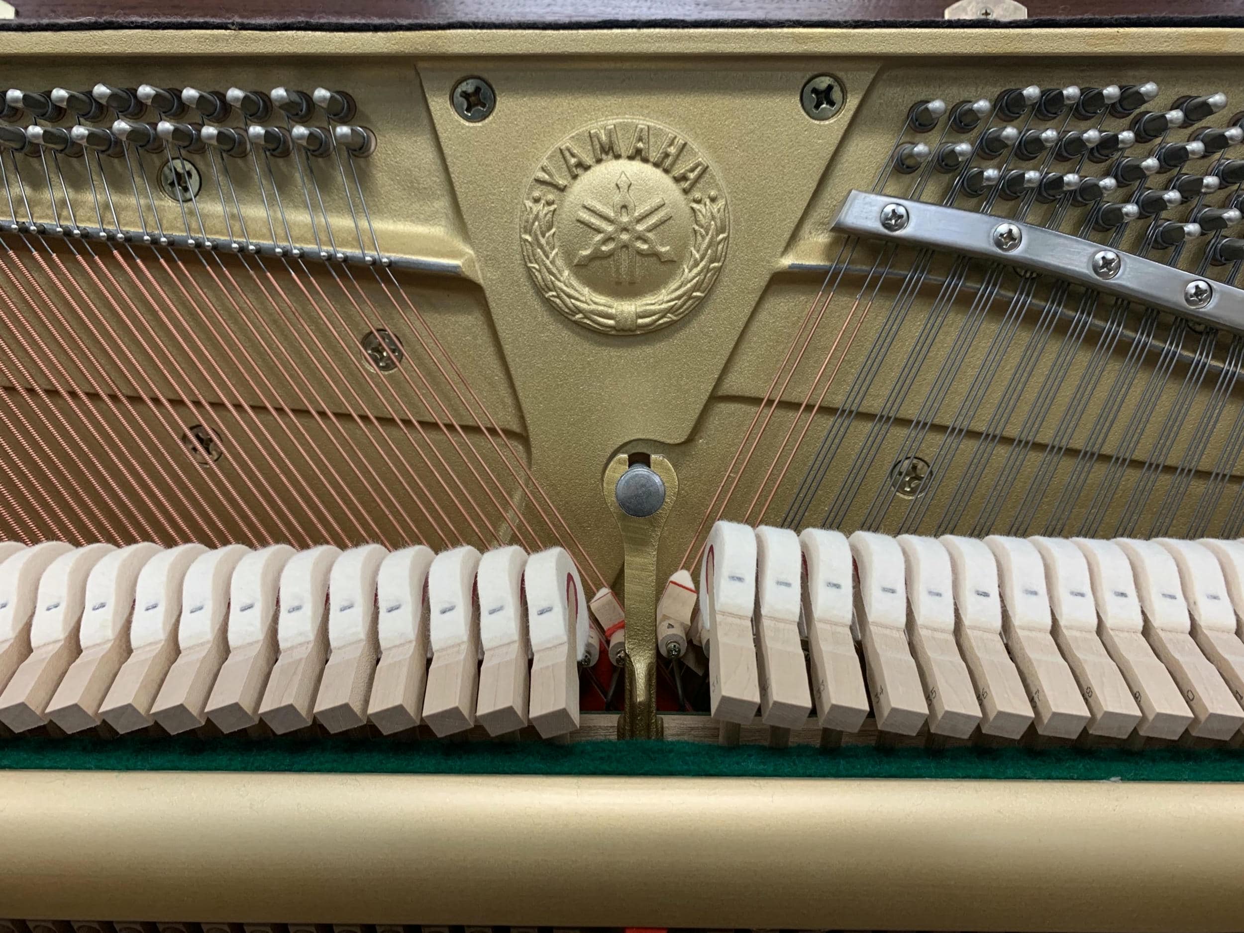 Yamaha P22 Piano Sound Board View Yamaha P22 Piano Sound Board View