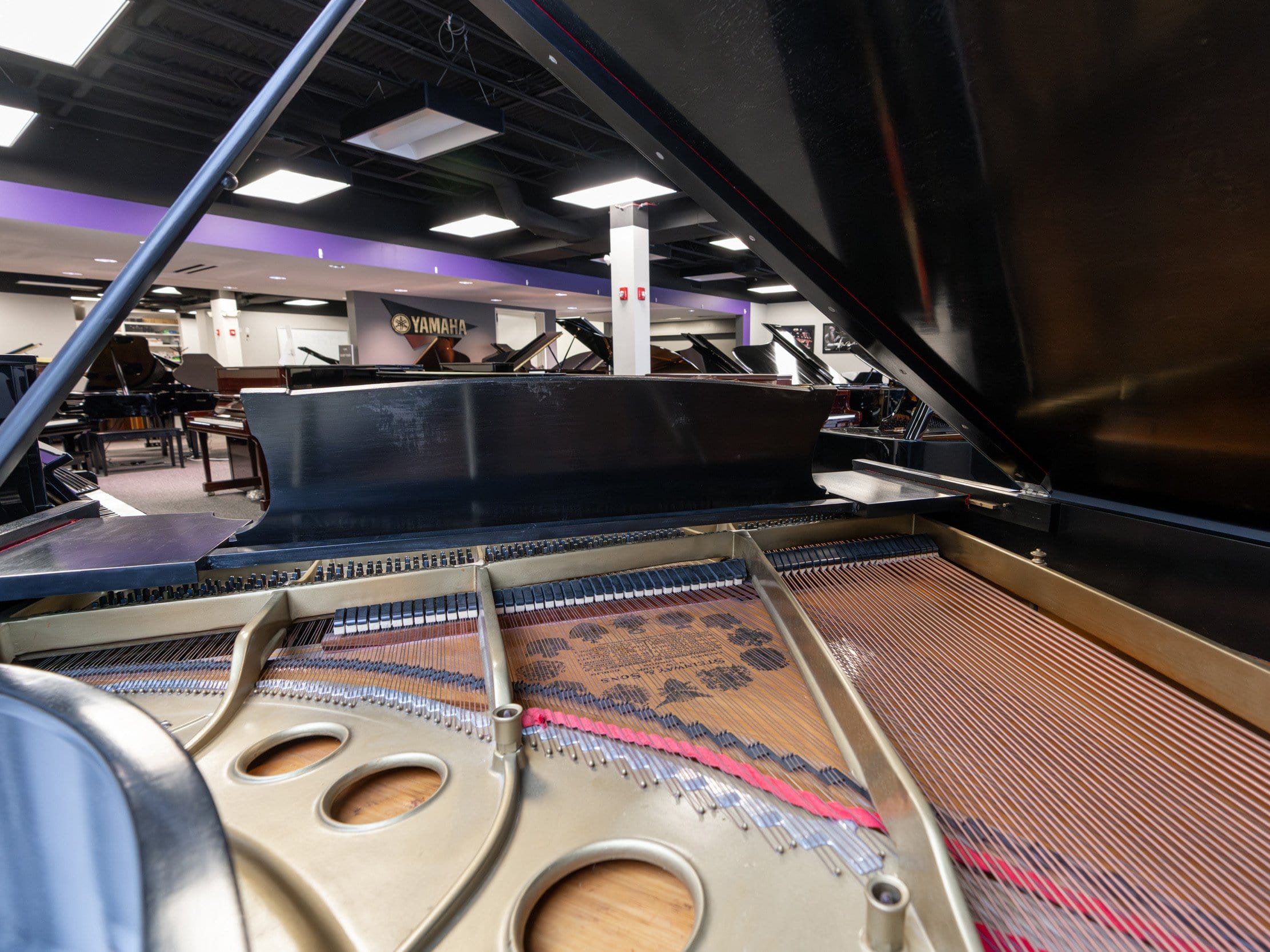 Solich Piano Cleveland - Steinway & Sons Model O - Rear View Soundboard