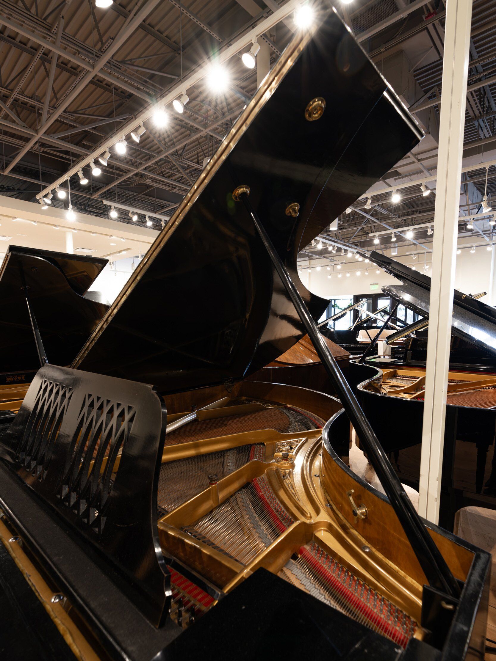 Solich Piano Cleveland - Ibach Grand - Right Side Soundboard (vertical)