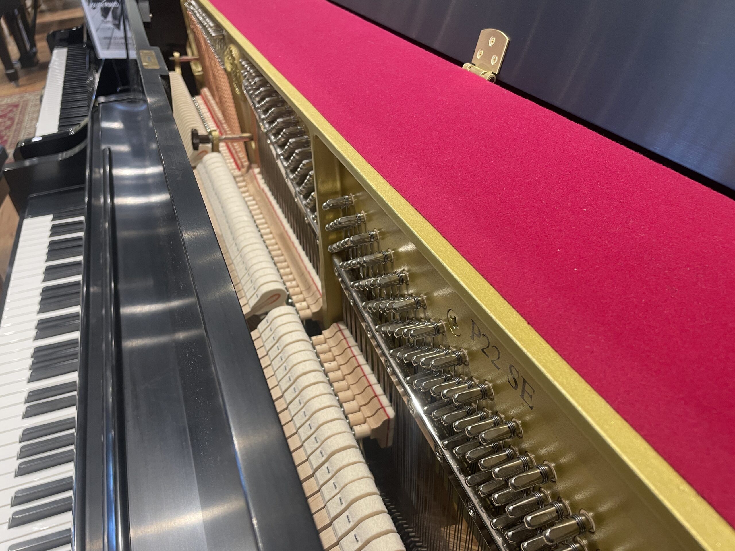 Yamaha P22SE Sound Board