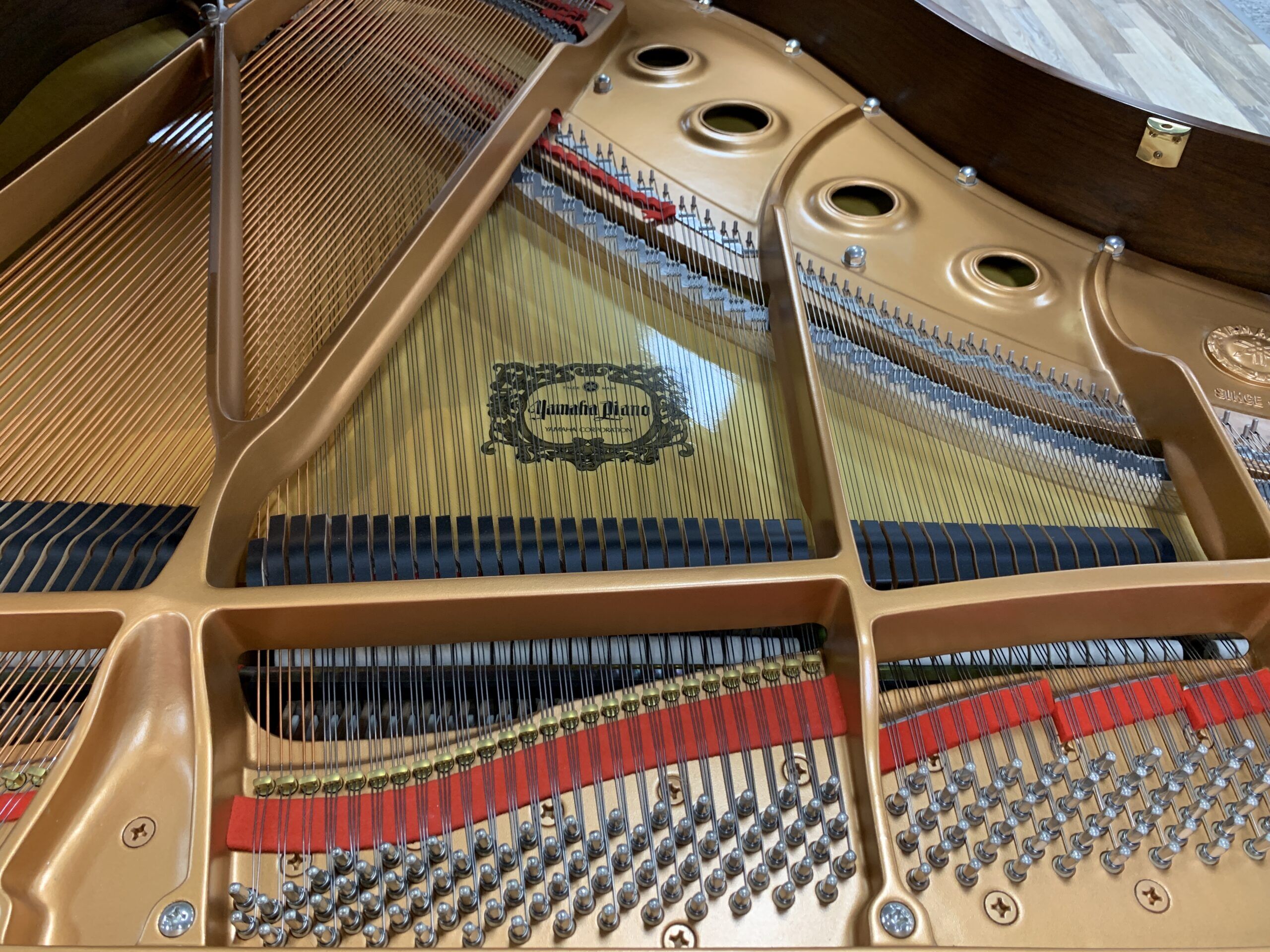 Solich-Piano-Pittsburgh-Yamaha-GC1AW-strings