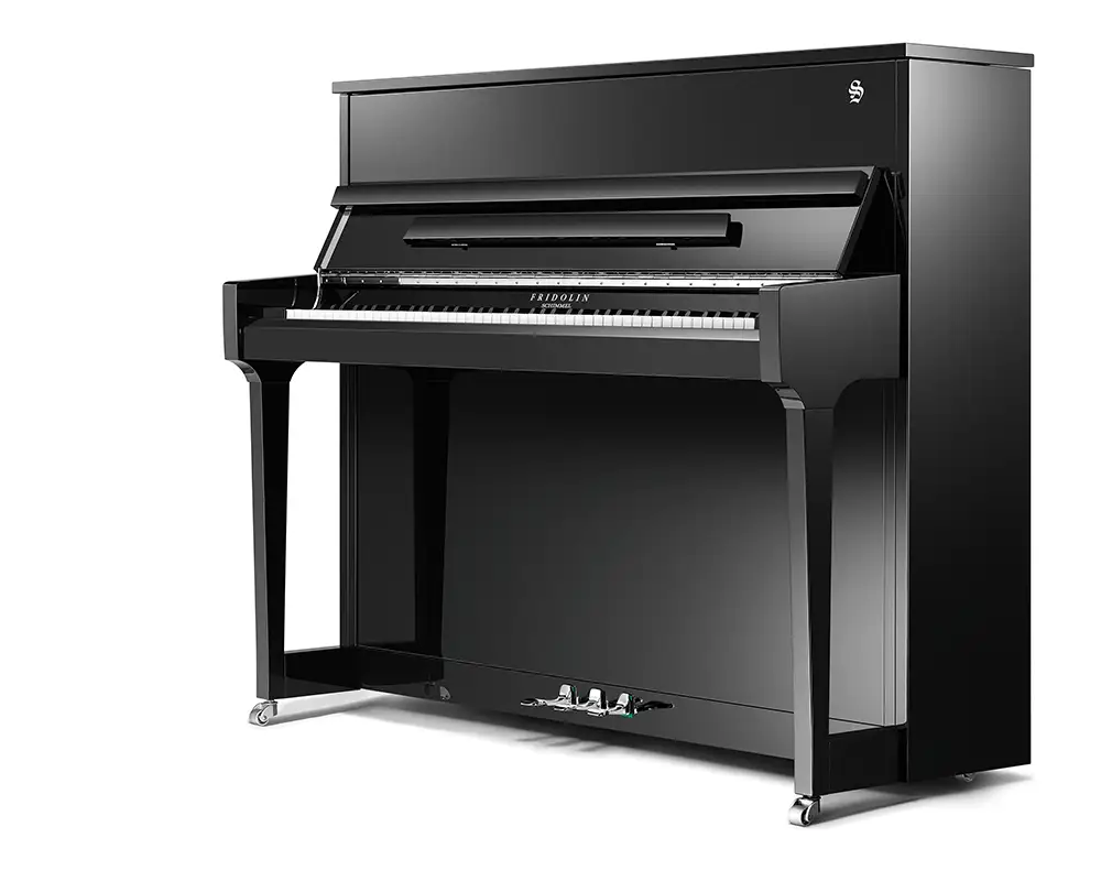 SCH_F121_T_schwarz_seitlich