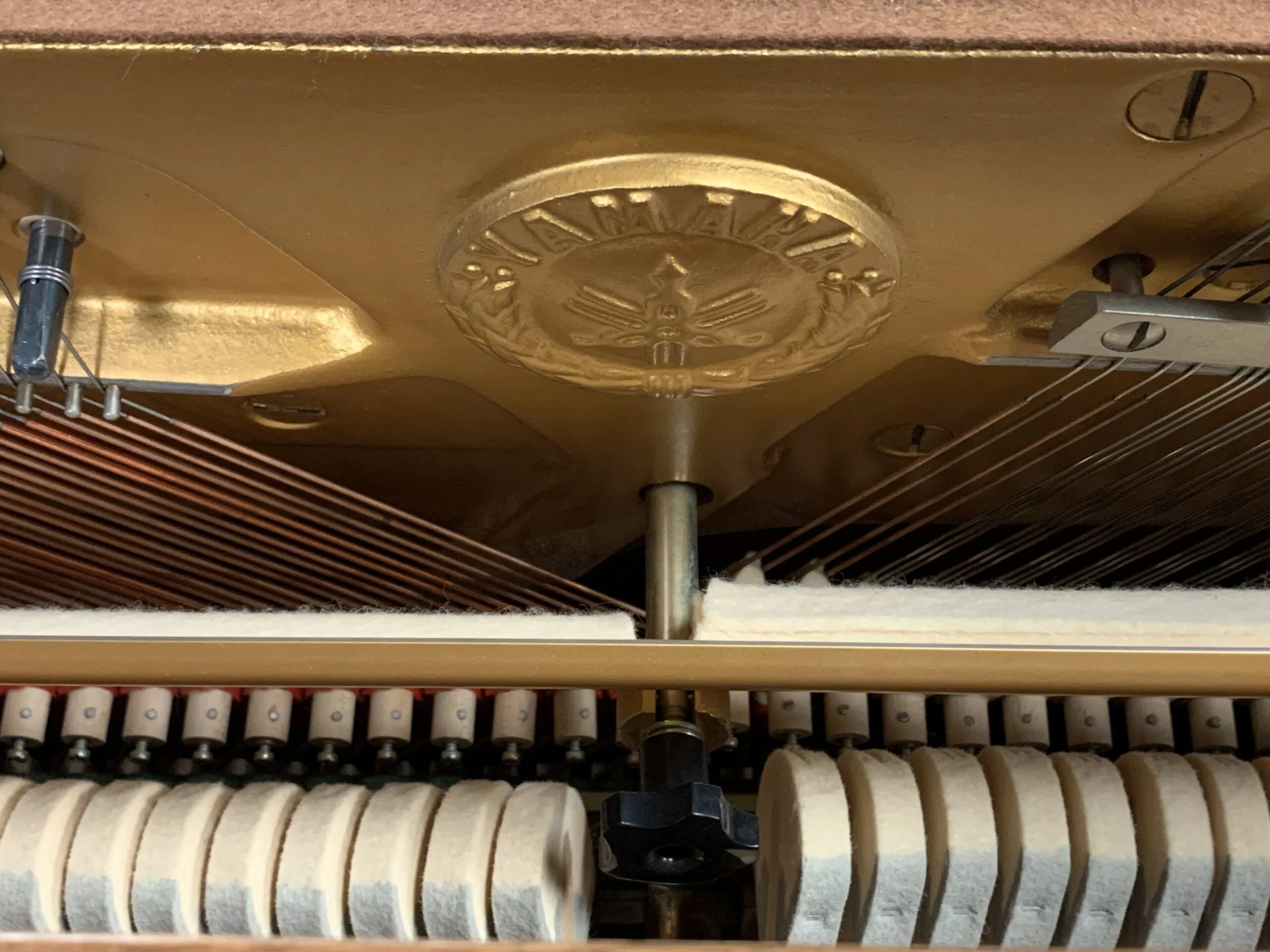 Solich-Piano-Cleveland-Yamaha-P2-Hammers