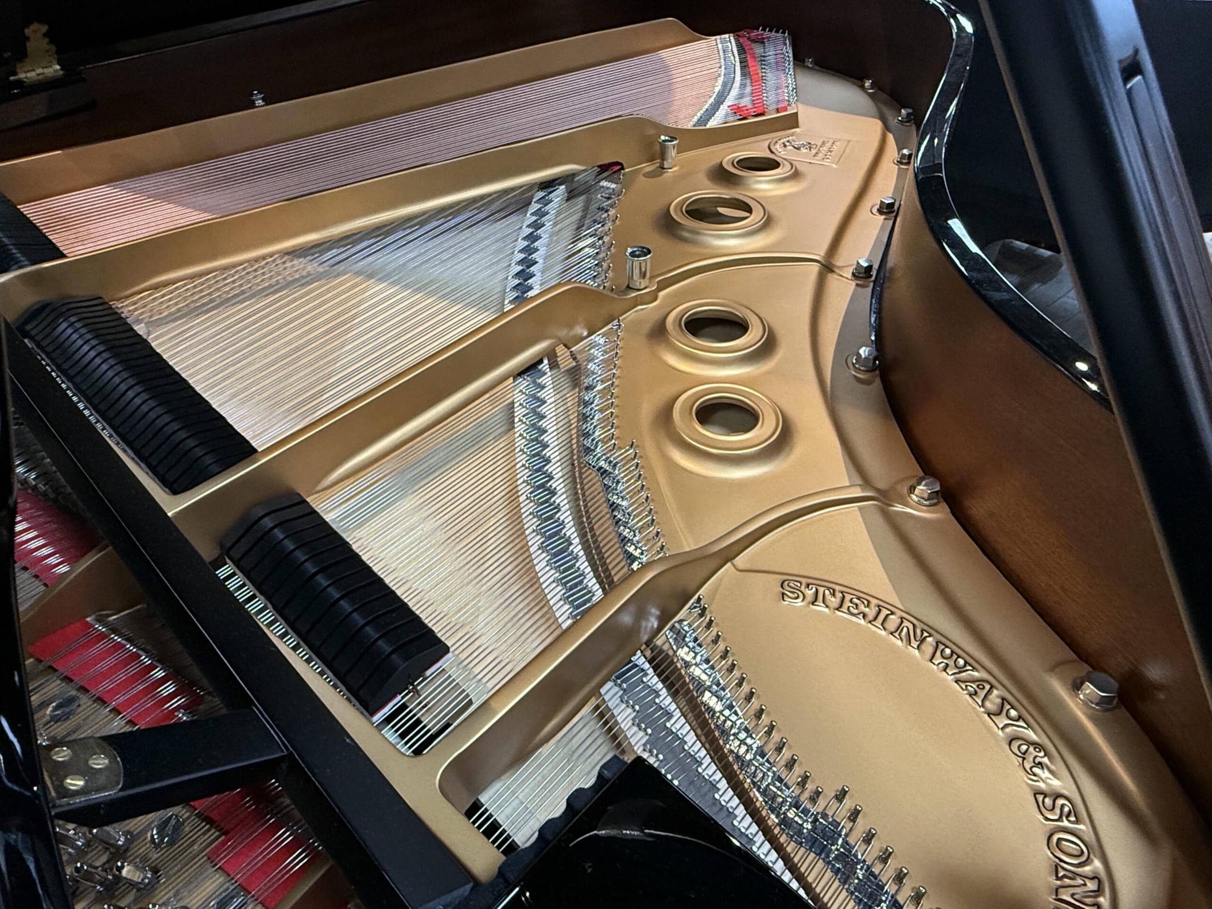 Steinway-Model-L-328461-strings