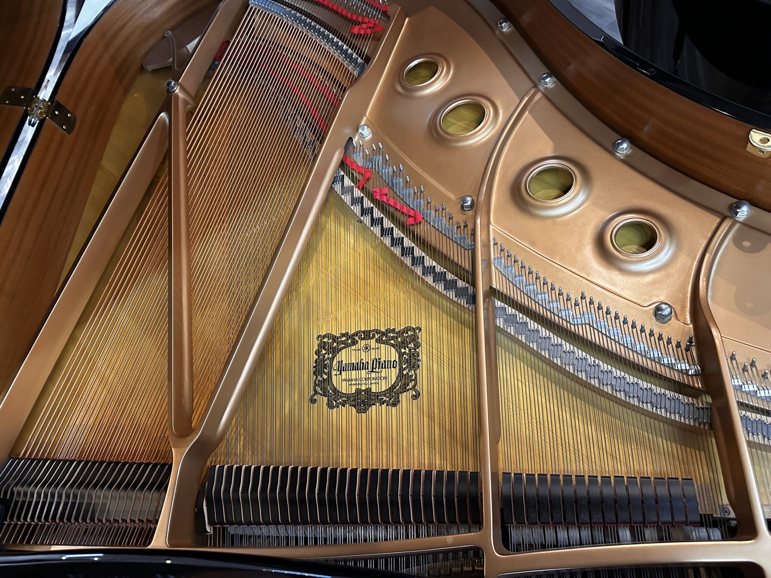 Yamaha-C2-5800281-Strings