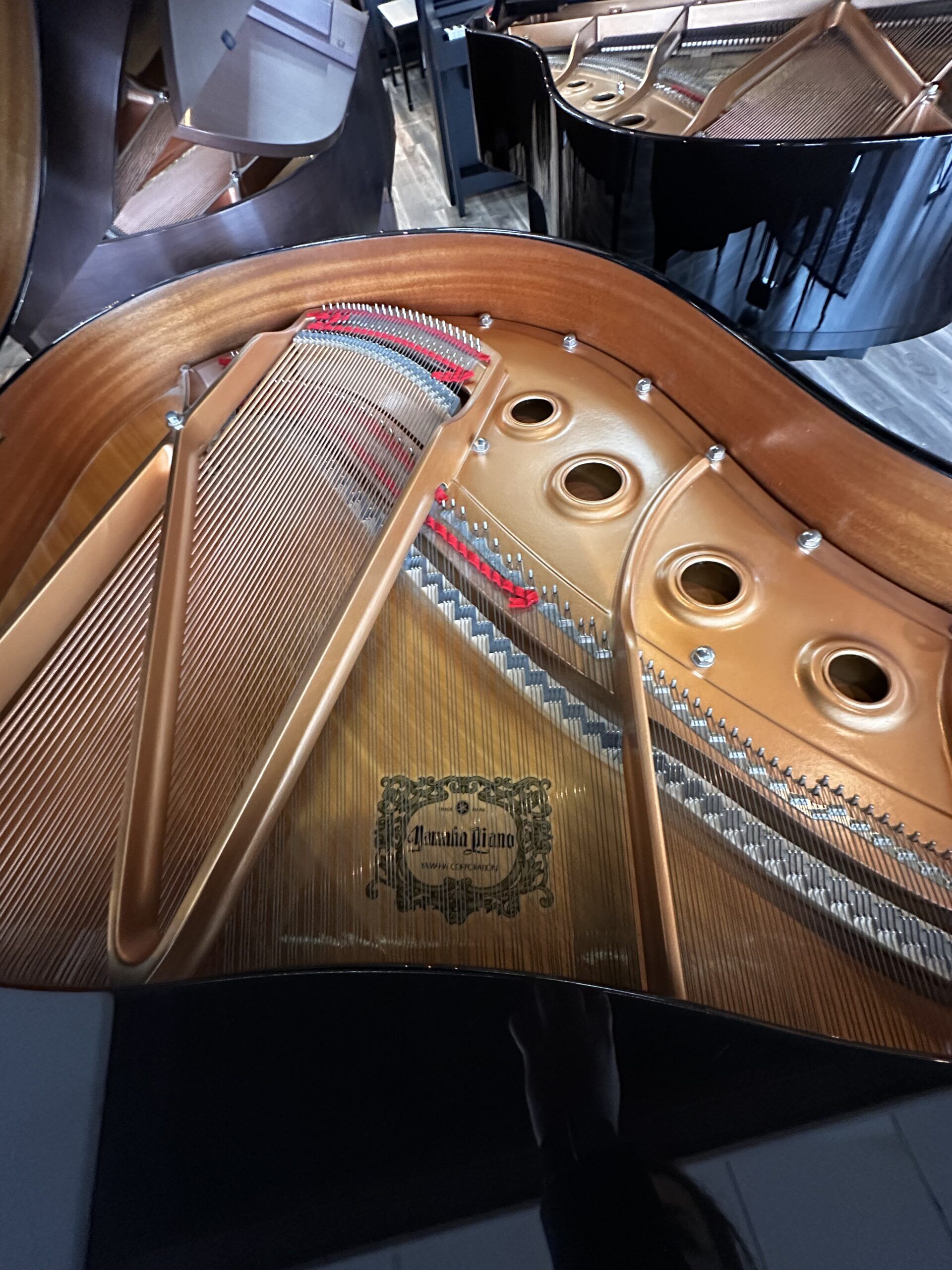 Yamaha-GC1PE-6000945-Strings