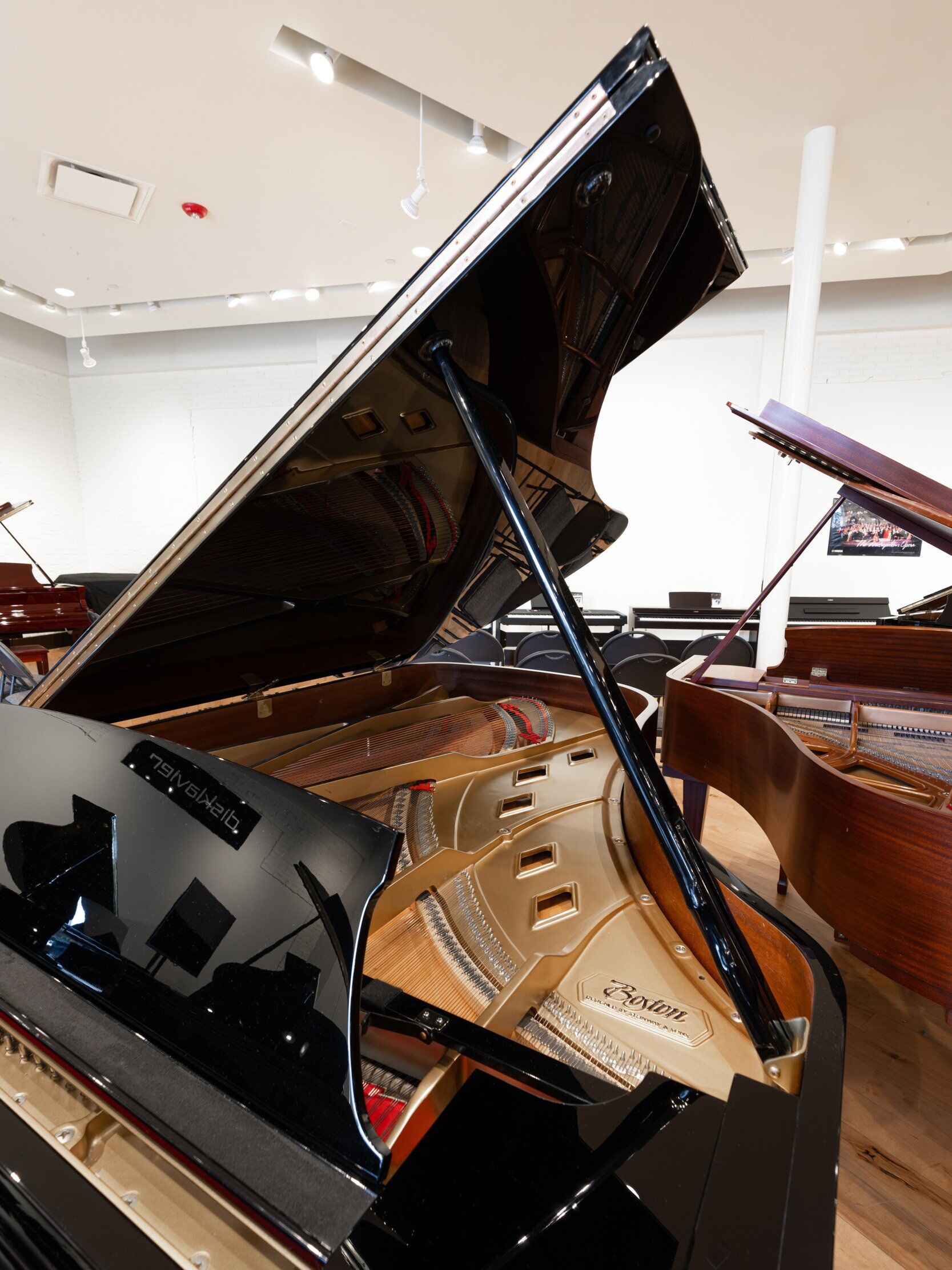 Solich Piano Cleveland - Boston GP-218 - Right Side Soundboard (vertical)