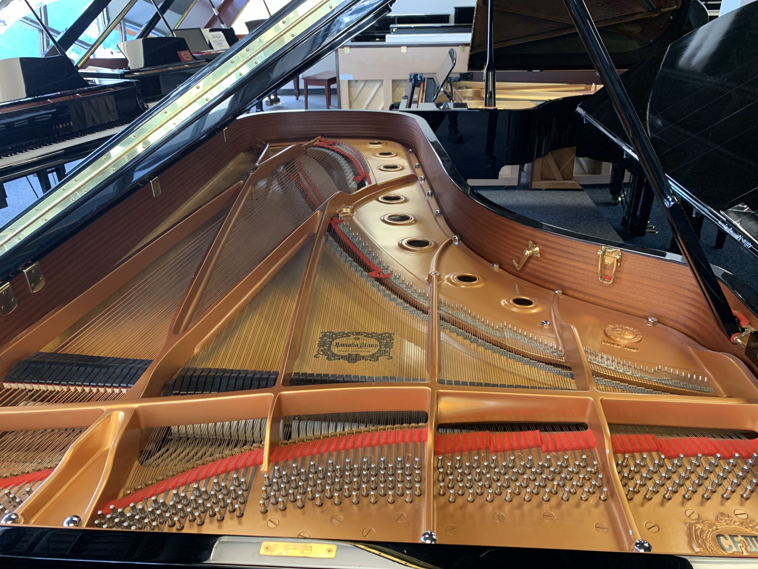 Solich-Piano-Cleveland-Yamaha-CFIIIS-strings