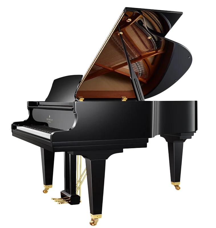 SCH_F156_T_schwarz_clipped