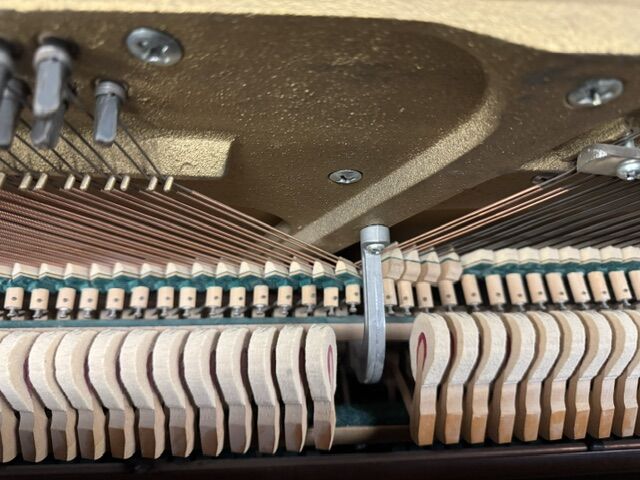 Solich-Piano-Cleveland-Kimball-S422-Hammers