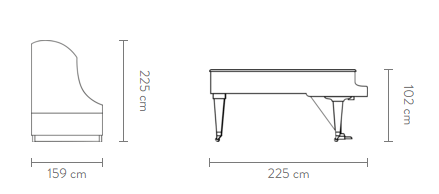 Bosendorfer 225 piano size diagram