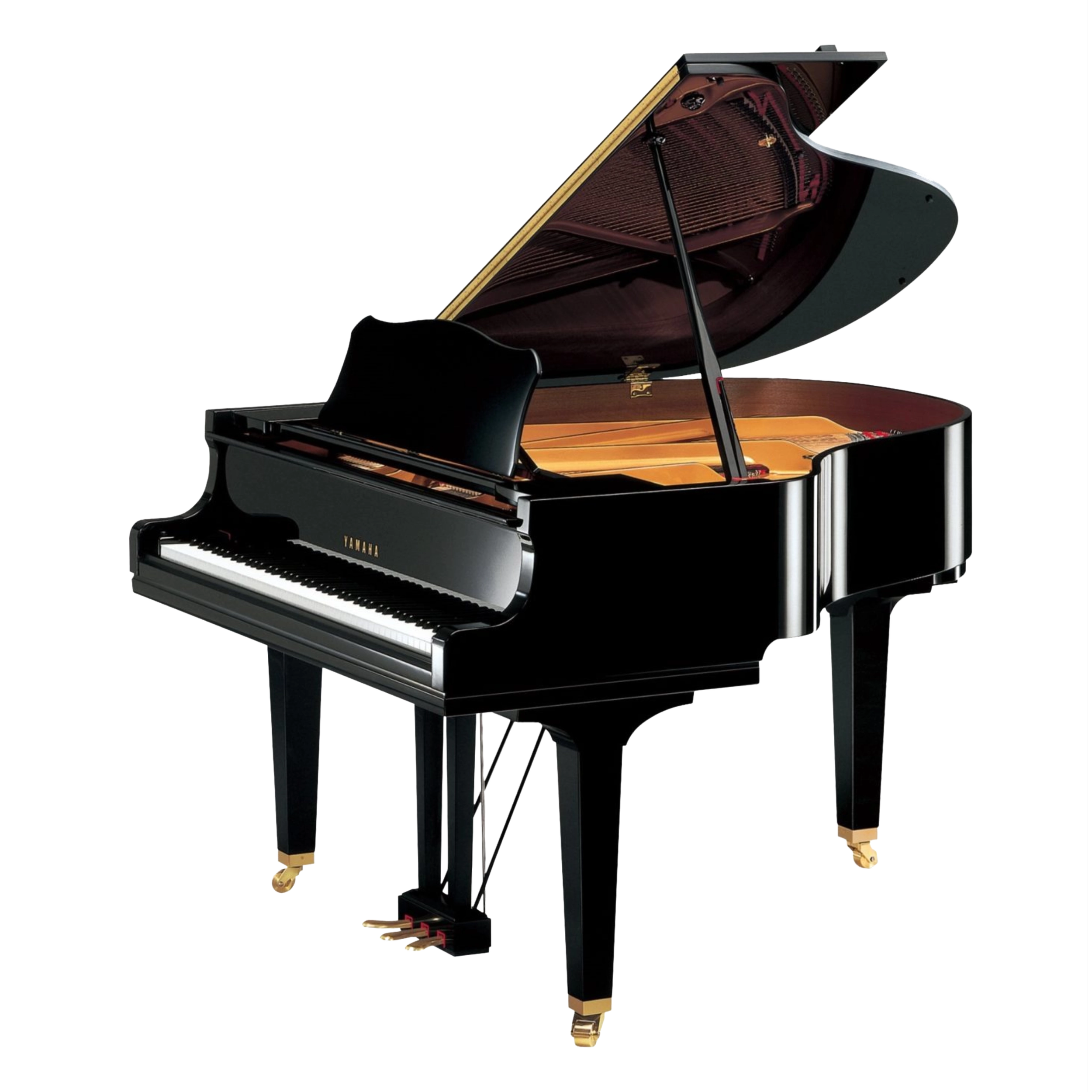 GC1M PE-web-compressed