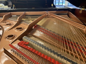 Brodmann CE175 0001150 grand piano soundboard