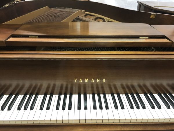 Yamaha GH1 Walnut 2790557 name plate grand piano