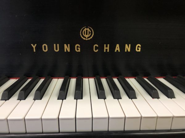 Young Chang G175 G109879 keyboard