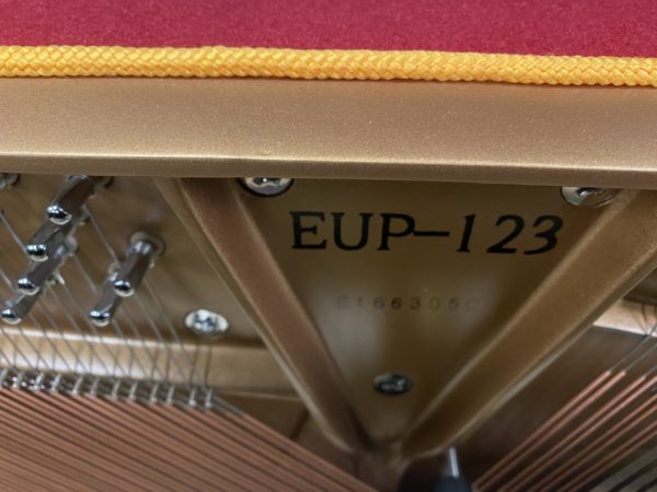 Essex EUP 123 serial
