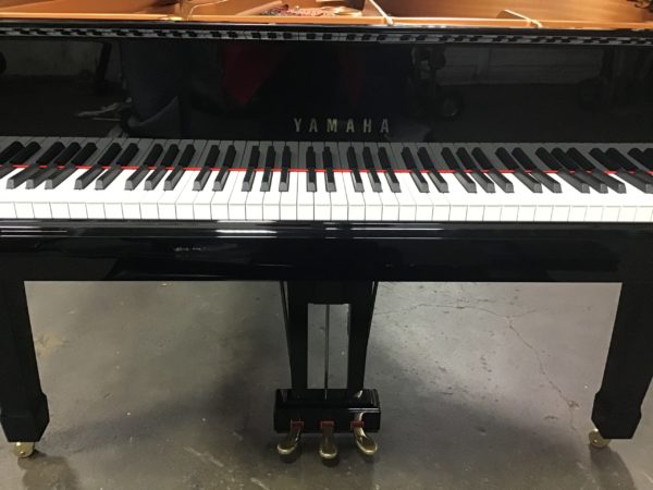 Yamaha C6 grand piano keys front