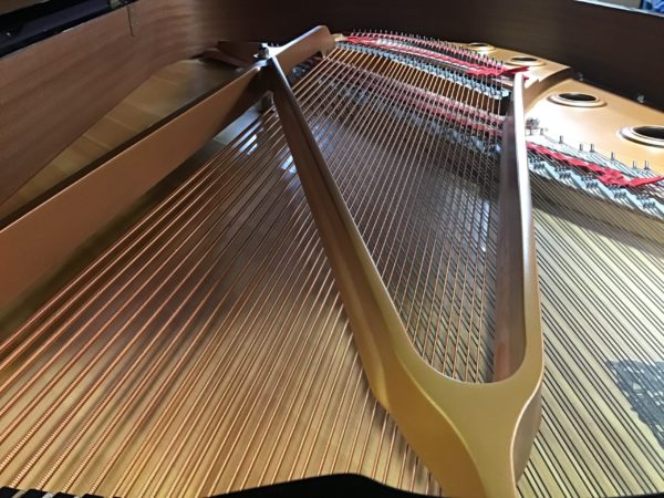 Yamaha C6 grand piano strings