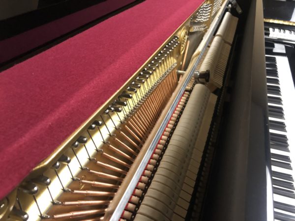 Yamaha b2PE piano strings