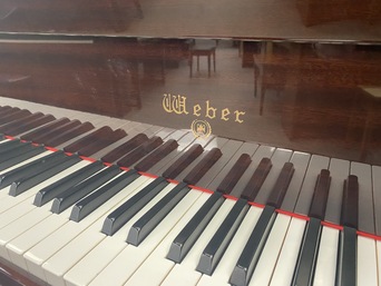 Weber Baby Grand WG-50 piano keys