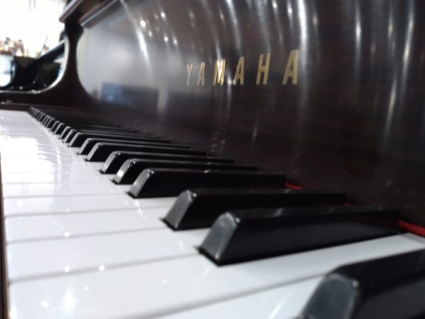 Yamaha C2SM grand piano keys close