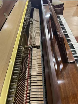 Baldwin Console Piano Second Sound Board View