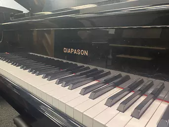 Diapason 183-E Piano Keys View