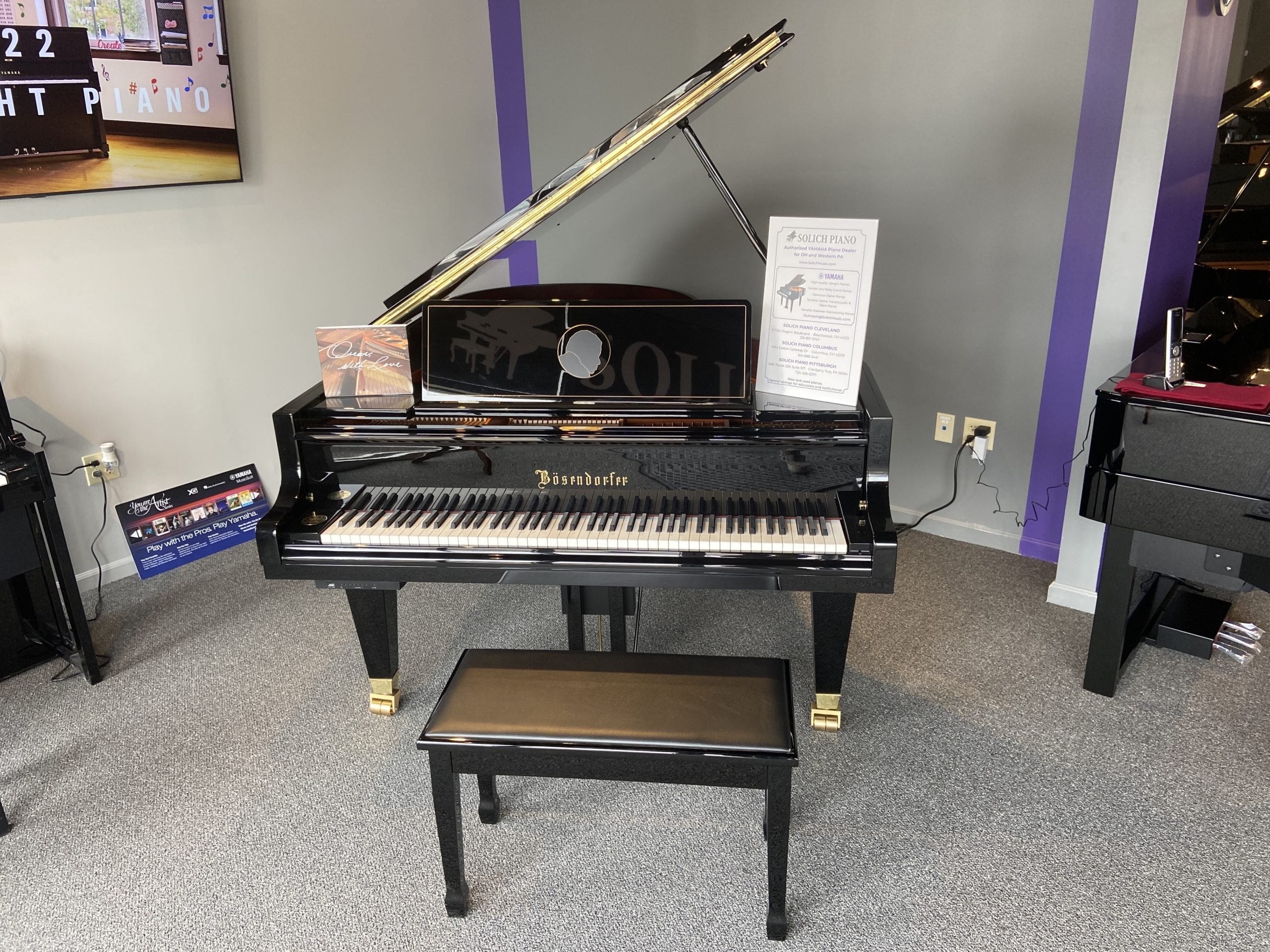 Solich Piano Pittsburgh - Cranberry Bosendorfer Grand Piano
