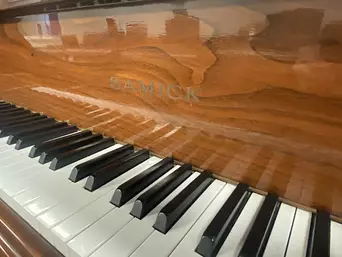 Samick G-1A Piano Keys View