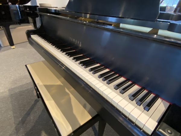 Yamaha G2 PE Piano 2 Keys View