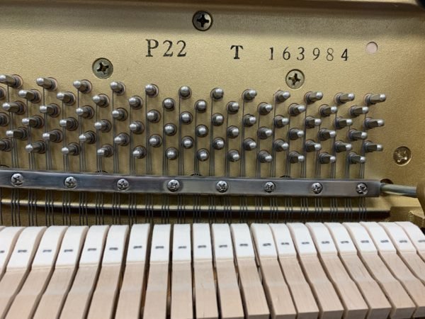 Yamaha P22 Piano Serial Number View